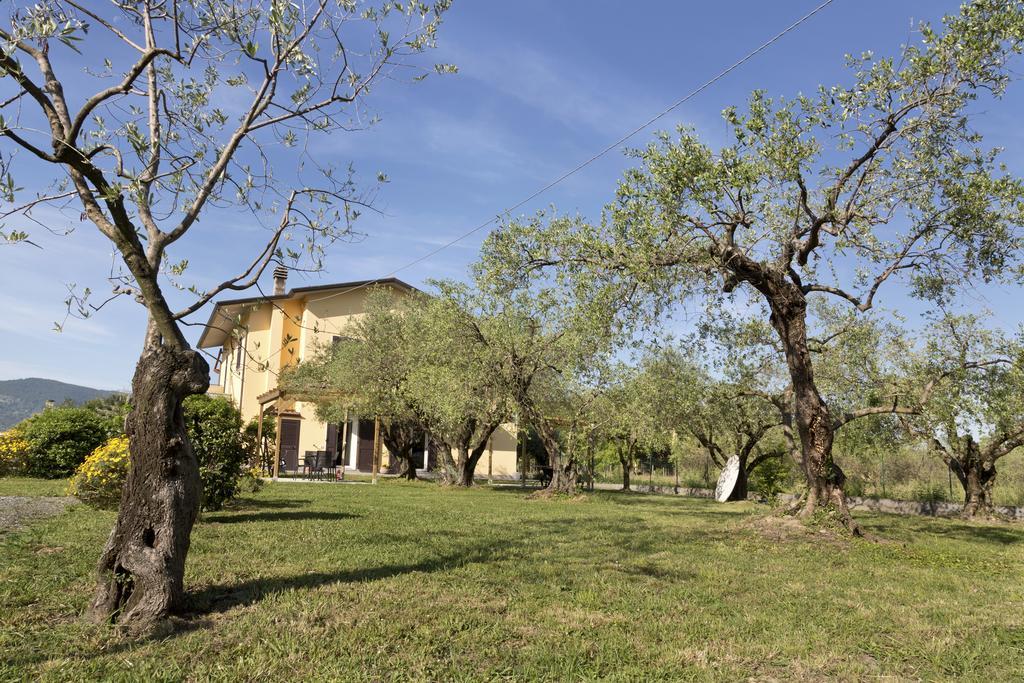 L'Ortobio Villa Sarzana Ngoại thất bức ảnh