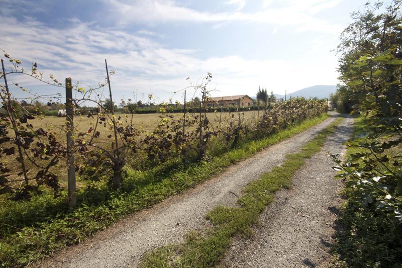 L'Ortobio Villa Sarzana Ngoại thất bức ảnh
